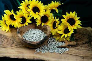 Sonnenblume Helianthus annuus Saat auf Olive Holz foto