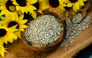 Sonnenblume Helianthus annuus Saat auf Olive Holz foto