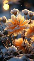 Winter Ringelblume Blume bedeckt durch Schnee Abend Sonne ai generiert foto