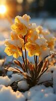 statisch Blume Winter Schnee Sonnenuntergang Licht ai generiert foto