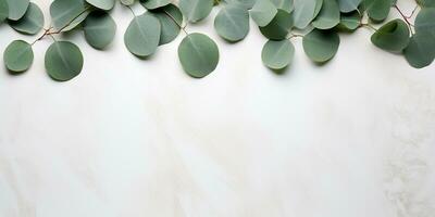 ai generiert eben legen mit Eukalyptus Geäst und Blätter auf ein Weiß Hintergrund. ästhetisch Rahmen von Eukalyptus Blätter, Rand foto