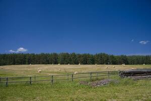 Sommer- Landschaft Polen foto