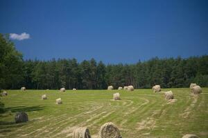 Sommer- Landschaft Polen foto