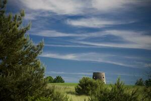 Polen Sommer- Landschaft foto