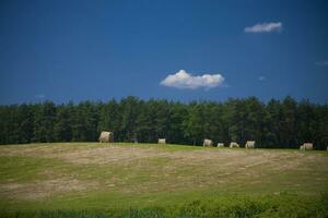 Polen Sommer- Landschaft foto