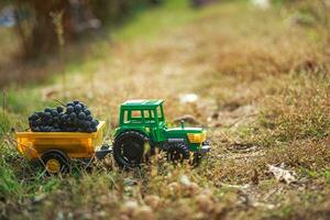 Grün Spielzeug Traktor mit Anhänger trägt schwarz reif Trauben. Ernte Konzept foto