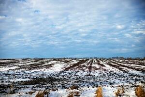 Winter Lanschacht. Land Feld bedeckt im Frost im Beginn von Winter. dramatisch Himmel, bunt Wolkengebilde. Eis Wüste foto