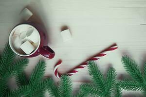 ed Tassen mit heiß Schokolade oder Kakao und Mäusespeck mit Süßigkeiten Stock. Weihnachten Konzept mit Tanne Baum Geäst. Nahaufnahme, selektiv Fokus foto