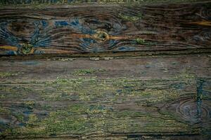 Hintergrund von alt geknackt Holz im Grün und braun Farben foto