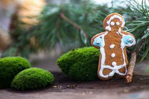 Lebkuchen Mann ist handgemalt gegen Hintergrund von Kiefer Ast. Weihnachten Hintergrund. Geschenke und Urlaub, glücklich Neu Jahr. festlich Hintergrund. Essen Hintergrund. foto