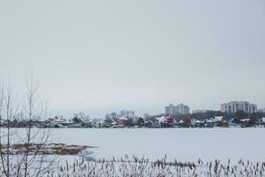 Ellings in der Nähe von gefroren Fluss gegen Hintergrund von Stadt, Dorf von Ukrainka. trocken Schilf durch Wasser. Winter Landschaft. foto