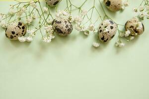 Ostern Hintergrund, Wachtel Eier auf ein Minze Hintergrund, dekoriert mit natürlich botanisch Elemente, eben legen, Aussicht von über, leeren Raum zum Text foto
