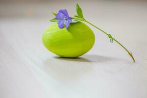 Blume vinca in der Nähe von das Grün Ostern Ei. Ostern Hintergrund. foto