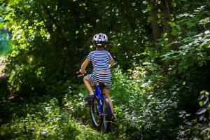 das wenig Junge im ein gestreift passen geht auf ein Wald Straße. Kind im ein schützend Fahrrad Helm Reiten ein Blau Fahrrad. foto