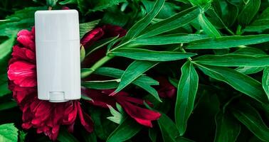 Antitranspirant Deodorant Stock, Attrappe, Lehrmodell, Simulation. solide Deodorant auf ein Strauß von viva Magenta, Pfingstrosen im das Sommer- Garten. Farbe 2023. foto