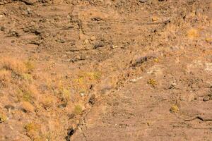 ein Berg Ziege ist Stehen auf ein Cliff foto