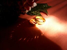 Paar von Hochzeit Ring mit einzigartig Licht Reflexionen foto