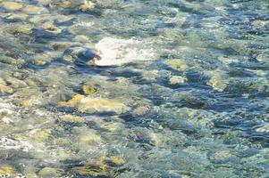 ein Fisch Schwimmen im das Wasser in der Nähe von Felsen foto