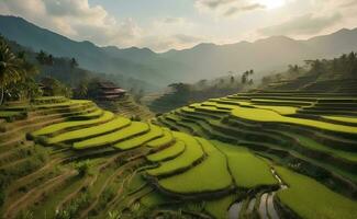 ein schön Grün Berg mit Terrassen Reis Felder. foto