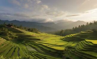 ein schön Grün Berg mit Terrassen Reis Felder. foto