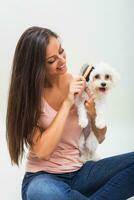 glücklich weiblich maltesisch Hund ist Kämmen schön jung Frau foto