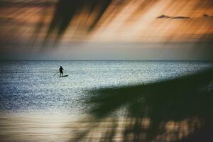 Mann Segeln Surfen Tafel Über schön Sonnenuntergang Himmel Seelandschaft foto