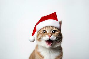 süß Katze tragen Santa claus Hut Porträt foto