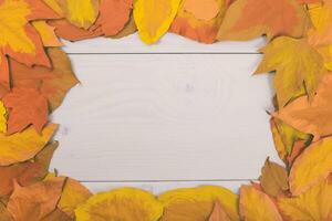 Herbst Blätter Rahmen auf Weiß hölzern Hintergrund foto
