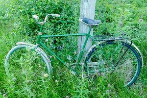 ein alt Grün Fahrrad gelehnt gegen ein Pole im das Gras foto