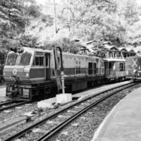 shimla, Himachal Pradesch, Indien - - August 14, 2023 - - Spielzeug Zug kalka-shimla Route, ziehen um auf Eisenbahn zu das hügel, Spielzeug Zug von kalka zu shimla im Indien unter Grün natürlich Wald foto