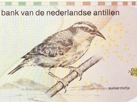 Bananenquit von Niederlande antillen Geld foto