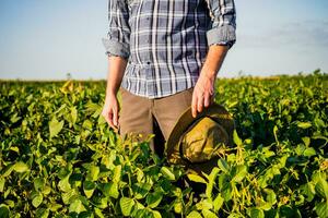 Bild von Farmer Stehen im seine wachsend Sojabohne Feld foto