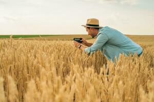 Farmer mit Handy, Mobiltelefon Telefon während Stehen im seine wachsend Weizen Feld foto