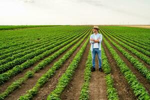 Farmer ist Stehen im seine wachsend Sojabohne Feld foto
