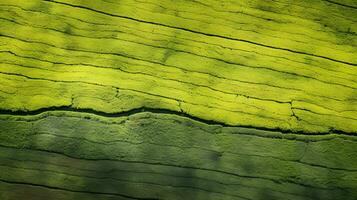 ai generiert Tee Plantage Landschaft, oben Aussicht Textur foto