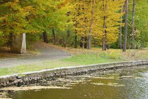 schön Natur Herbst Landschaft mit See. Landschaft Aussicht auf Herbst Stadt Park mit golden Gelb Laub im wolkig Tag foto