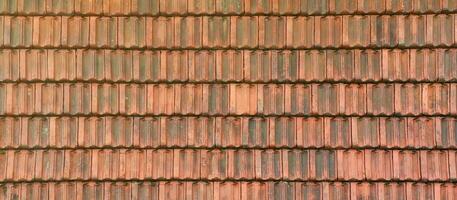 schließen oben von rot Terrakotta Dach Gürtelrose mit etwas Mehltau. Hintergrund Textur von Überdachung Material foto