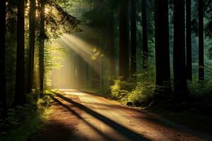 Wicklung Schmutz Straße winkt in ein grün Wald, wo Sonnenlicht Tänze durch ein Überdachung von hoch aufragend Bäume. generativ ai foto