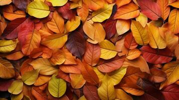 oben Aussicht von Rot, orange, und Gelb Blätter Hintergrund, gefallen Blätter im Herbst. ai generativ foto