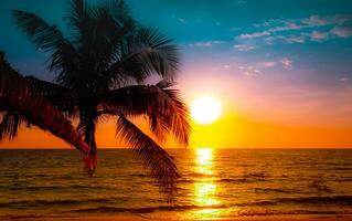 Palme Bäume schön Sonnenuntergang auf das tropisch Meer Strand foto