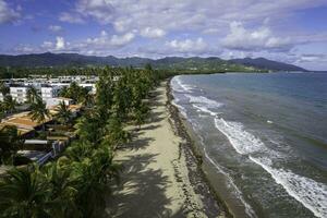 Palmen Arroyo, puerto rico foto