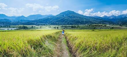 asiatische frauen reisen im urlaub entspannen. stehen natürliche Touch-Gebirgsfeld. Thailand foto