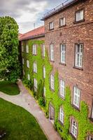 das Mauer von ein alt Schloss bedeckt mit Efeu foto