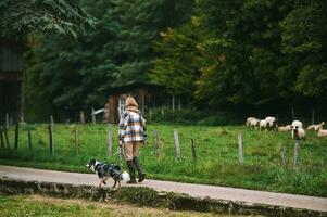 Bauernhof Landschaft, jung Frau Gehen mit australisch Schäfer Hund foto
