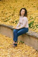 Herbst Porträt von schön reifen Frau, entspannend im golden fallen Park foto