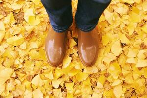 oben Aussicht von Frau Regen Stiefel, Mädchen Stehen auf Boden voll von Herbst Blätter foto