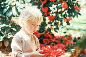draussen Porträt von Süss Kind spielen mit rot Kamelie Blume foto