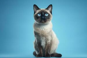 ai generiert schließen oben von Siamese Katze mit Blau Augen auf ein Blau Hintergrund foto