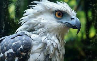 ai generiert Aharpie Adler Vogel foto