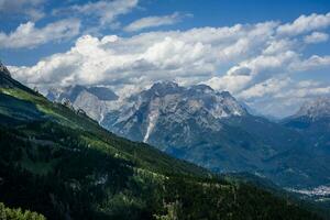 2023 07 09 gosaldo Berg Landschaft 17.jpg foto